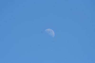 IMG_4416.2pm.JPG