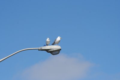 IMG_4627.JPG