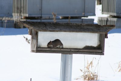 IMG_4290.JPG