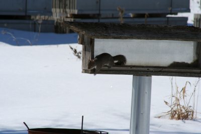 IMG_4291.JPG