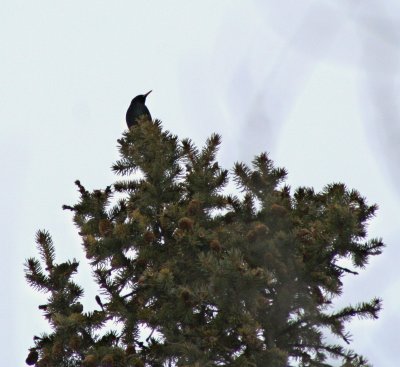 IMG_4324.JPG