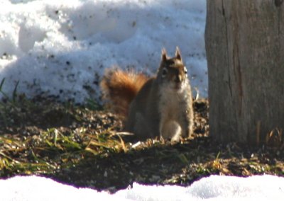 IMG_4451A.jpg