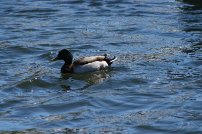 IMG_4702.JPG