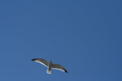 IMG_4713.JPG