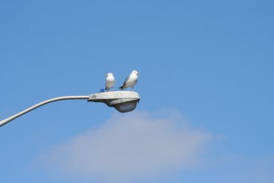 IMG_4626.JPG