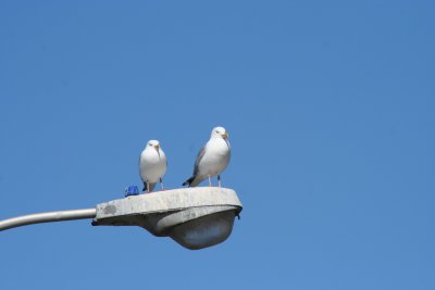 IMG_4629.JPG