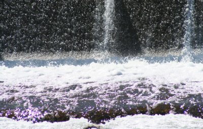 Rapid Rushing Waters...