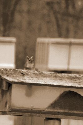 Hello There  :}
