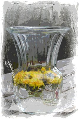 Dandelions