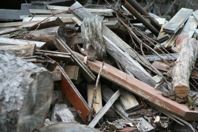 Well... a Wood Pile ~