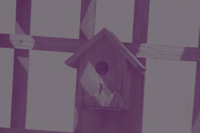 Birdie House