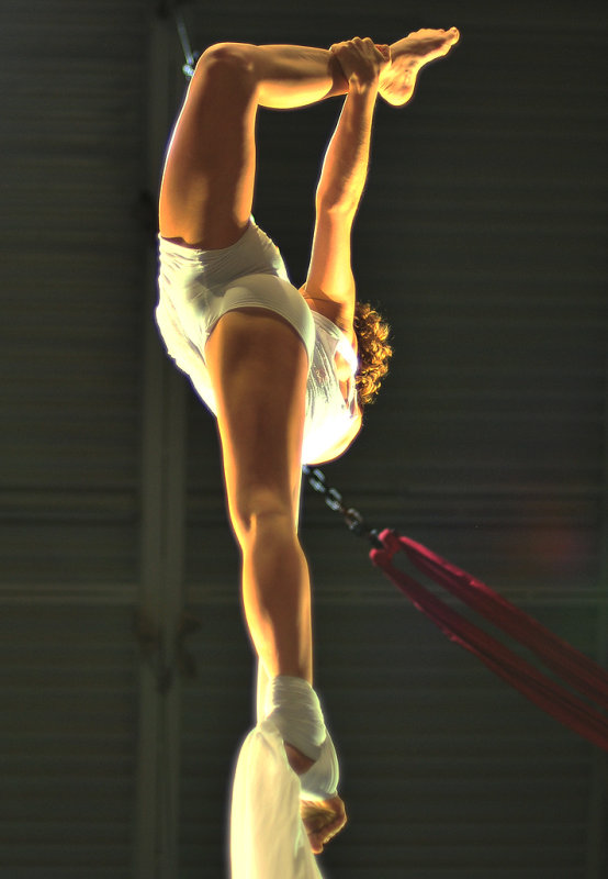 Angelica Bongiovonni, Acrobat