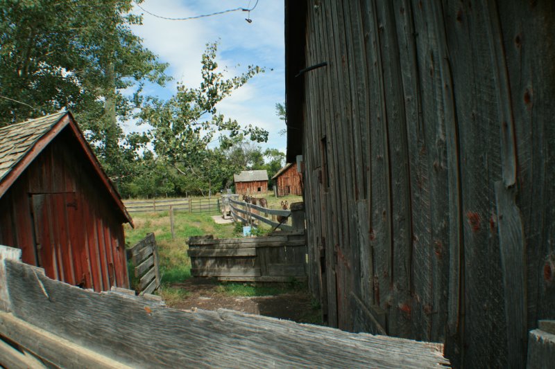 IMG_5669.JPG