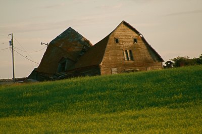 This old barn