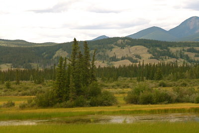 Jasper National Park