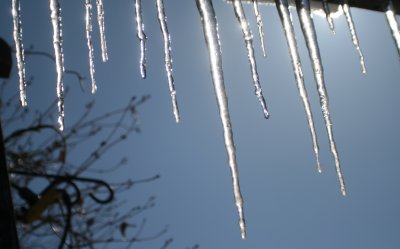 Icicles in the sun