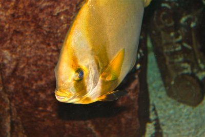IMG_3671.JPG