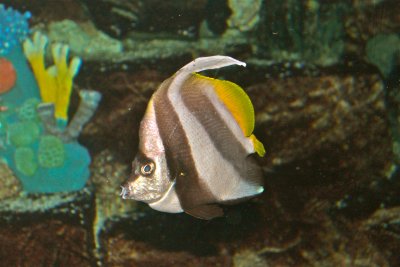 IMG_3679.JPG
