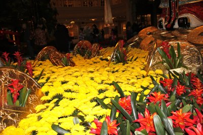 IMG_3710.JPG