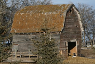 Little barn on the prairies