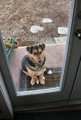 Please can I come in