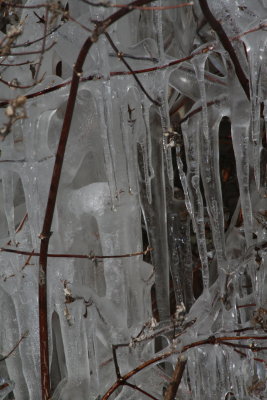 Icicle Tree