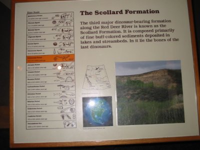 The Scollard Formation