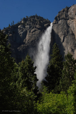 Windswept Yosemite Falls
