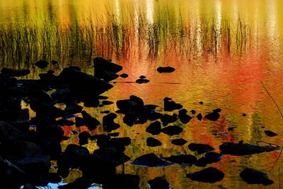 Three Rs... Reeds, Rocks and Reflections