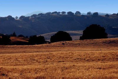 Our Beautiful San Diego County Back Country