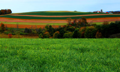 Thanks to These Folks for Making Their Fields SO Beautiful!