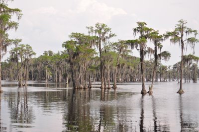 Banks Lake