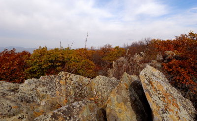 Rocks of Fall.jpg