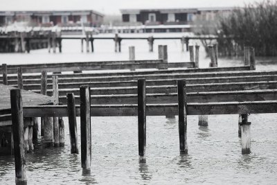 neusiedler see bw