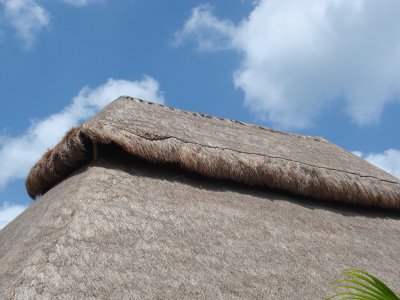 Thatched Roof , W Caribbean 1