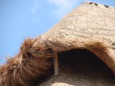 Thatched Roof, W Caribbean 2
