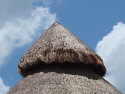 Thatched Roof, W Caribbean 3