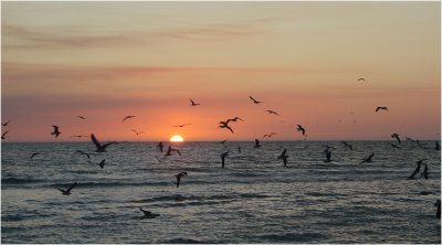 A Feast Before Sunset