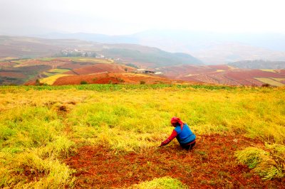 dongchuan_hungtudi_red_soil_ter