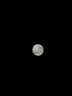 Picture 310moon.jpg