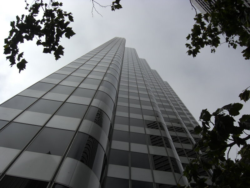 The Financial District