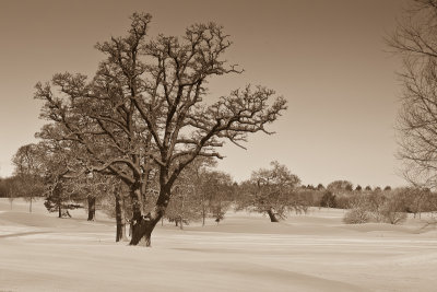 Donnington grove golf course (no golf today)