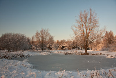 ice pond