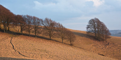 winter sun on the hill