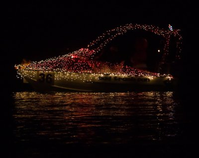 _MG_9230.jpg
