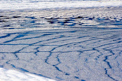 ice patterns2.jpg