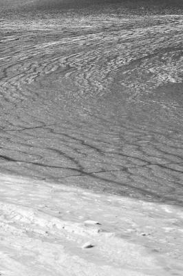 ice patterns6_bw.jpg