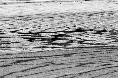 ice patterns_bw.jpg