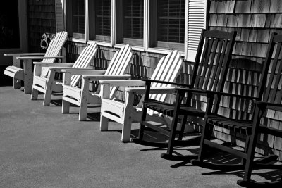 Asses Wanted bw