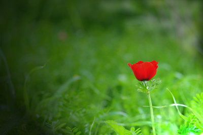 g3/74/883174/3/121706677.NqjeD7or.jpg